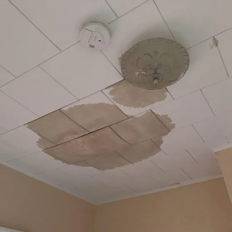 Ceiling Water Damage Repair in Centreville, VA