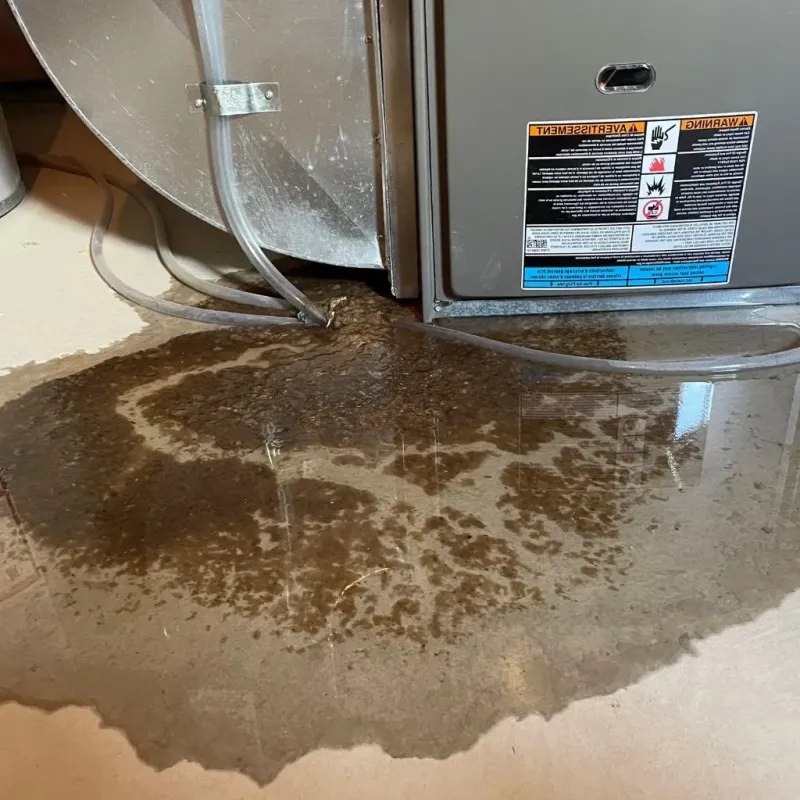 Pipe Burst and Leak Restoration in Centreville, VA